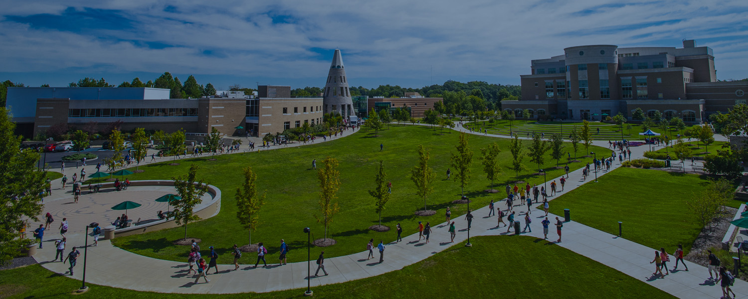 Associate Director of Business Operations and Information Technology